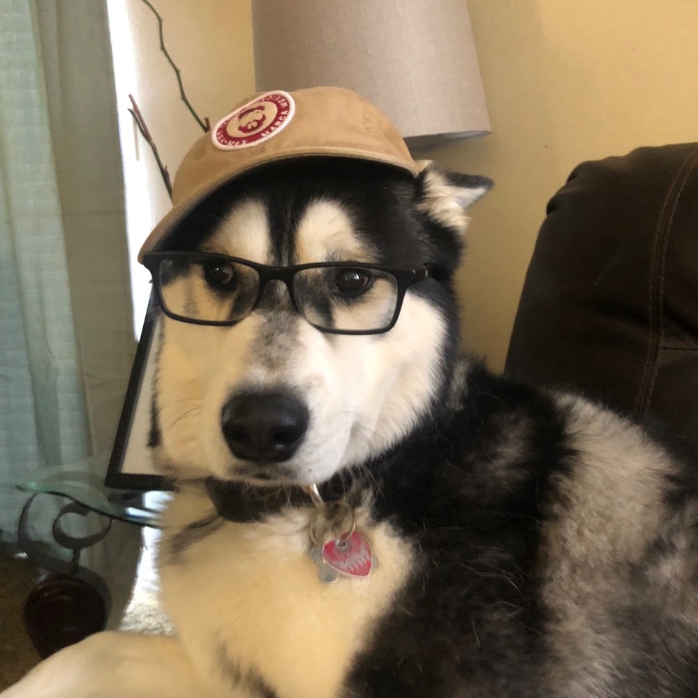 Meet your Posher, Manuel